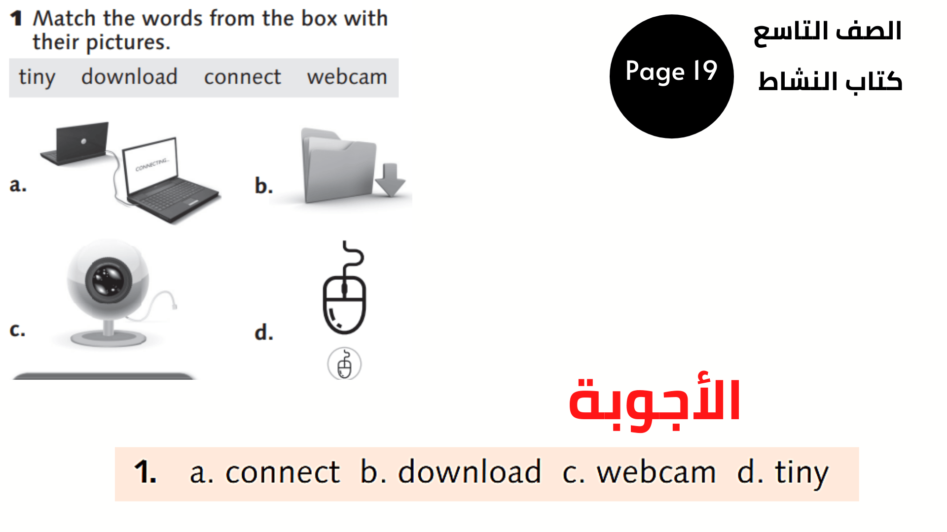 First section القسم الأول