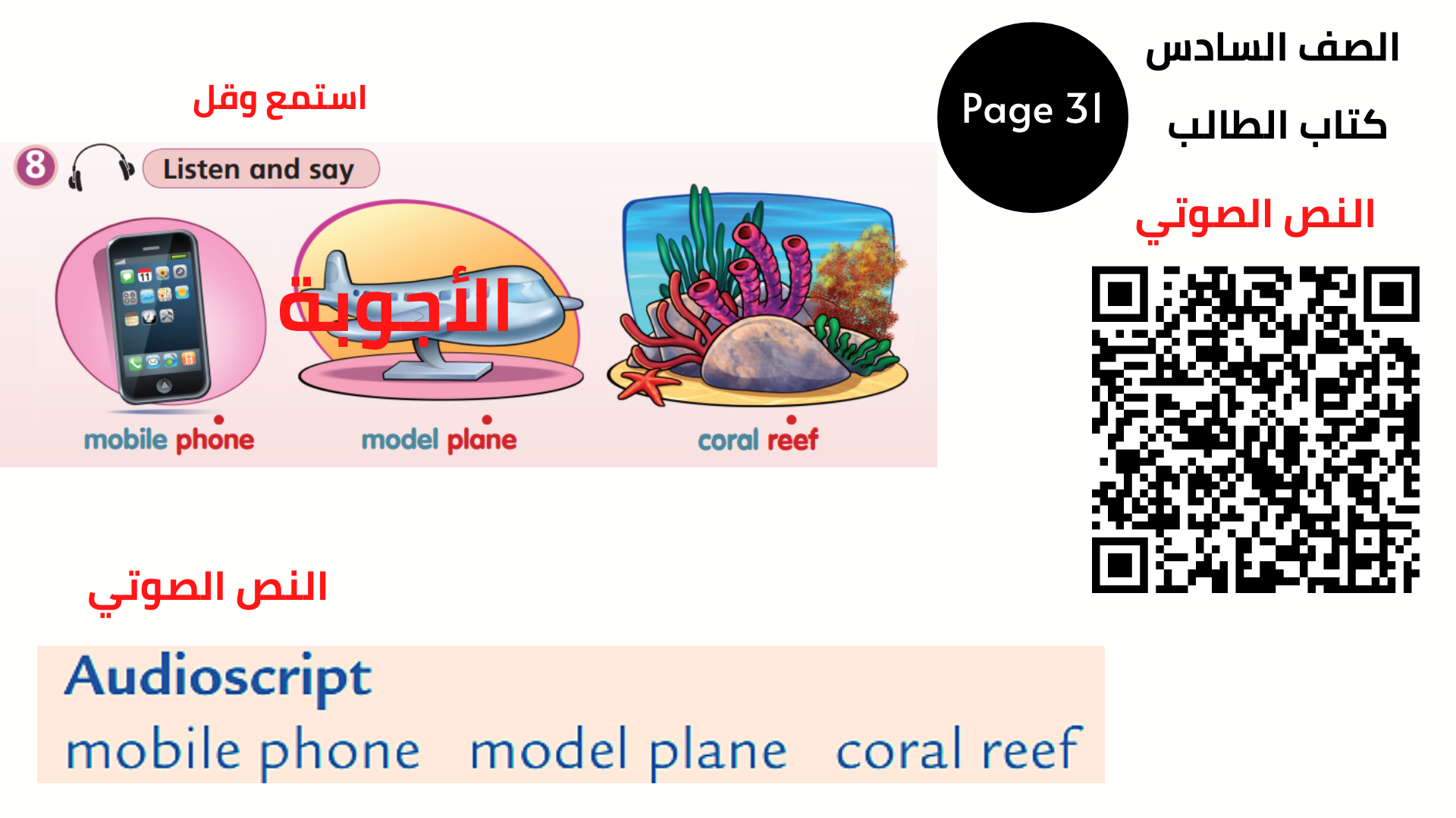 كتاب التلميذ ، الصفحة 31 ، تمرين 8 السادس المنهاج الأردني الوحدة السادسة